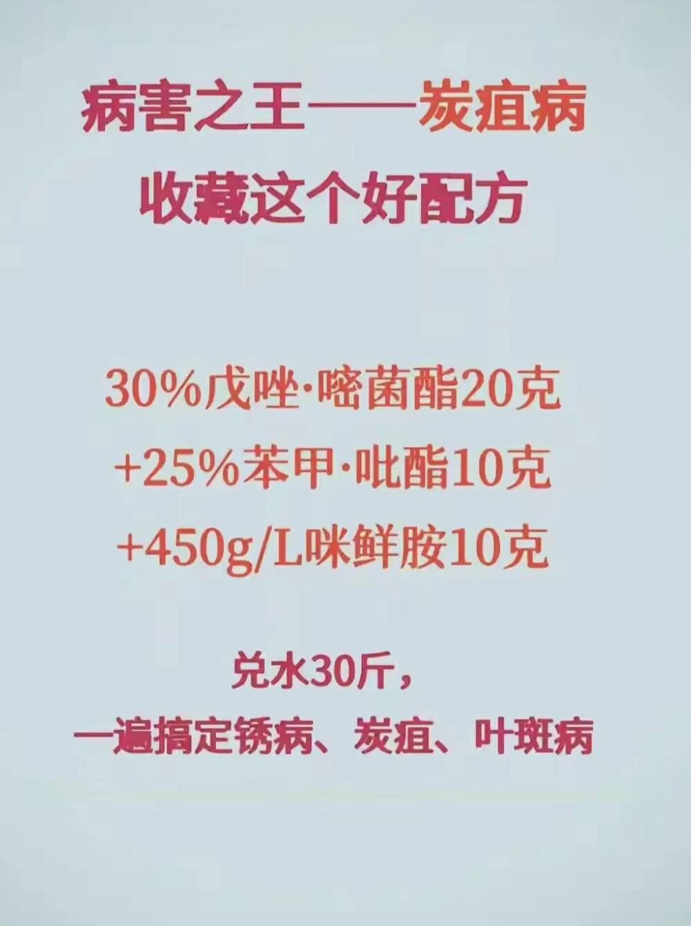 老鸦柿用药推荐：病害之王炭疽病